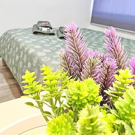 Apartamento Restaurado De 3 Y Ac *